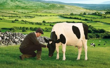 Kerrygold, immer eine gute Butter – Irische Butter aus frischer Weidemilch