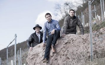 A winegrowing family and their wines – The Winery Giegerich in Großwallstadt on the Franconian Main