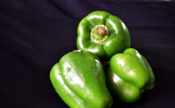 Grüne Paprika lecker mit Lor füllen – Lorlu Biber Dolmasi