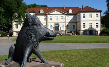 Ein stämmiger Keiler mit seiner schwarzen Schnauze – Hoch die Gläschen zum Schnüsselschluck in Hardenberg