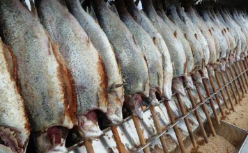 Morue raccommodée oder Zurechtgemachter Stockfisch, ein Rezept von Maryse Condé