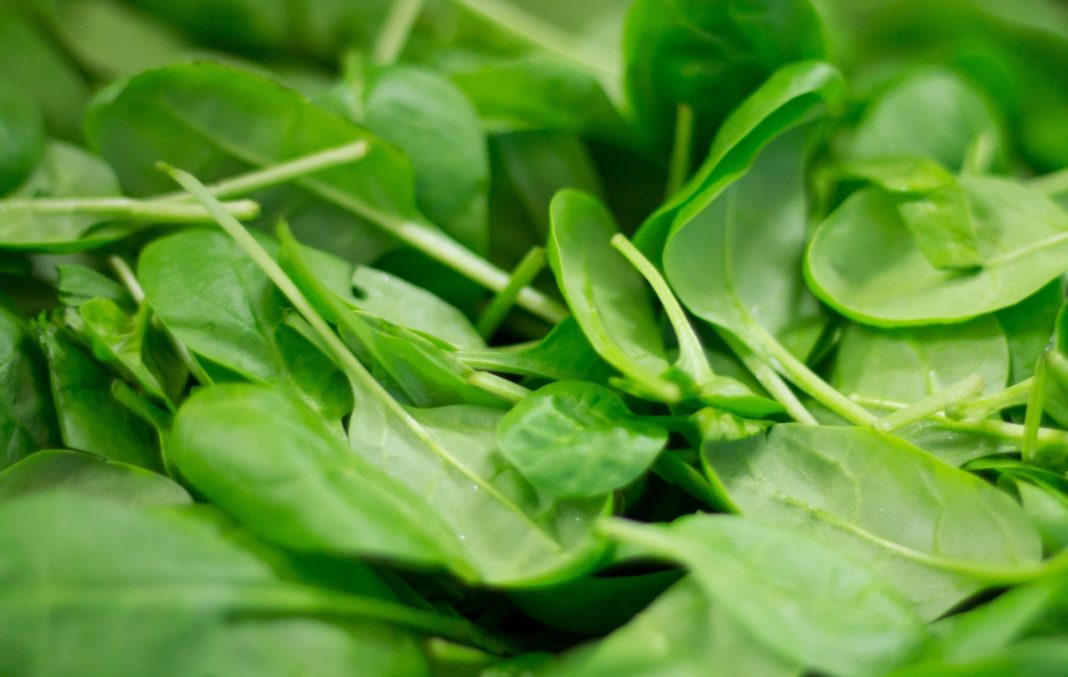 Spinat. Quelle: Pixabay, Foto: Thilo Becker