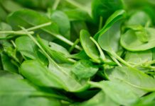 Frischen und gewaschenen Spinat wie Vincent Klink in die Pfanne hauen und auch die Lebensmittelindustrie