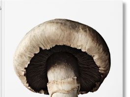 In die Taschen: The Gourmand’s Mushroom