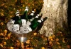 Björksoda im Hofladen von Hof Sonarp – Natürlich moussierender Birkensaft-Sekt aus Småland