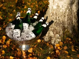 Björksoda im Hofladen von Hof Sonarp – Natürlich moussierender Birkensaft-Sekt aus Småland