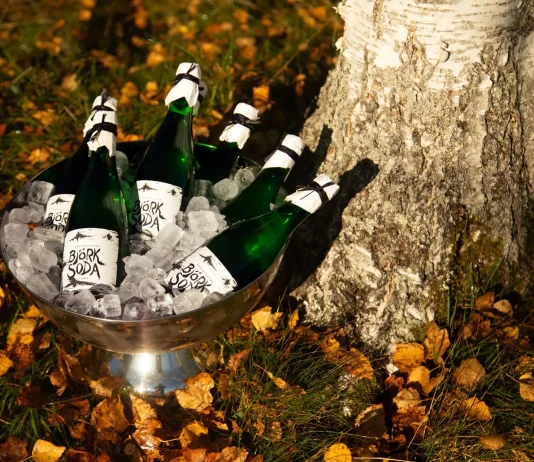 Björksoda im Hofladen von Hof Sonarp – Natürlich moussierender Birkensaft-Sekt aus Småland