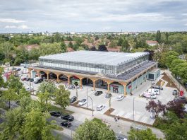 Kopfsalat, der nicht aus der Erde kommt, sondern vom Dach oder Lollo Rosso aus Lankwitz – „REWE Green Farming Berlin“
