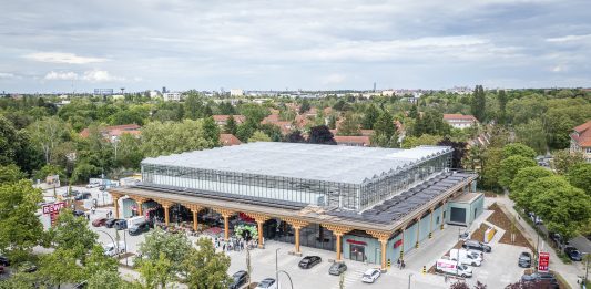 Kopfsalat, der nicht aus der Erde kommt, sondern vom Dach oder Lollo Rosso aus Lankwitz – „REWE Green Farming Berlin“