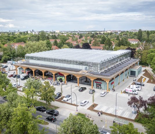 Kopfsalat, der nicht aus der Erde kommt, sondern vom Dach oder Lollo Rosso aus Lankwitz – „REWE Green Farming Berlin“