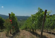 Touren und trinken in Irpinien, Kampanien, Italien oder Wohlsein während einer Weinreise durch Dörfer im Herzen der Irpinia